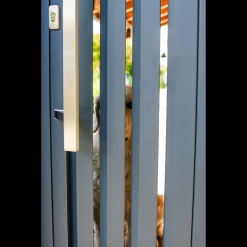 Alu Zaun - RAL 7016